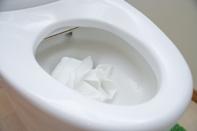 トイレットペーパーは便器に流してください